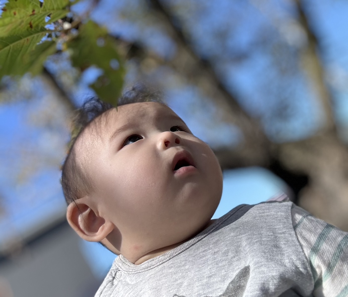 🐨こあら組の10月🐨季節の変わり目ですね🍁